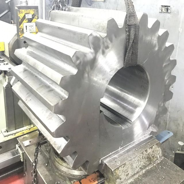 تروس السن العادي — EL Badr Industries, 16